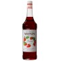 Bout.Monin Fraise (Vp1L)