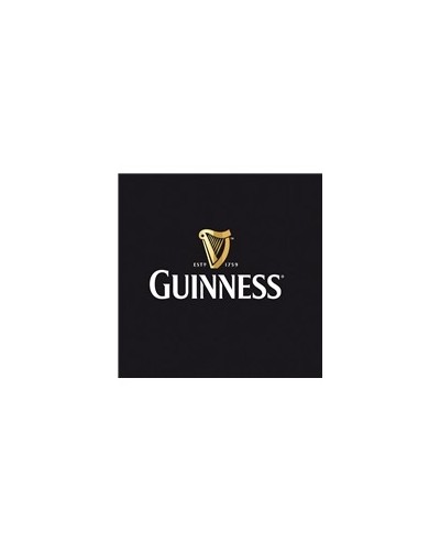 GUINNESS 4,2degre - FUT 30L