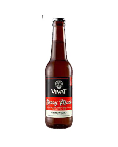 VIVAT BERRY MUCH SOUR 5.5degre VP 33CL X12